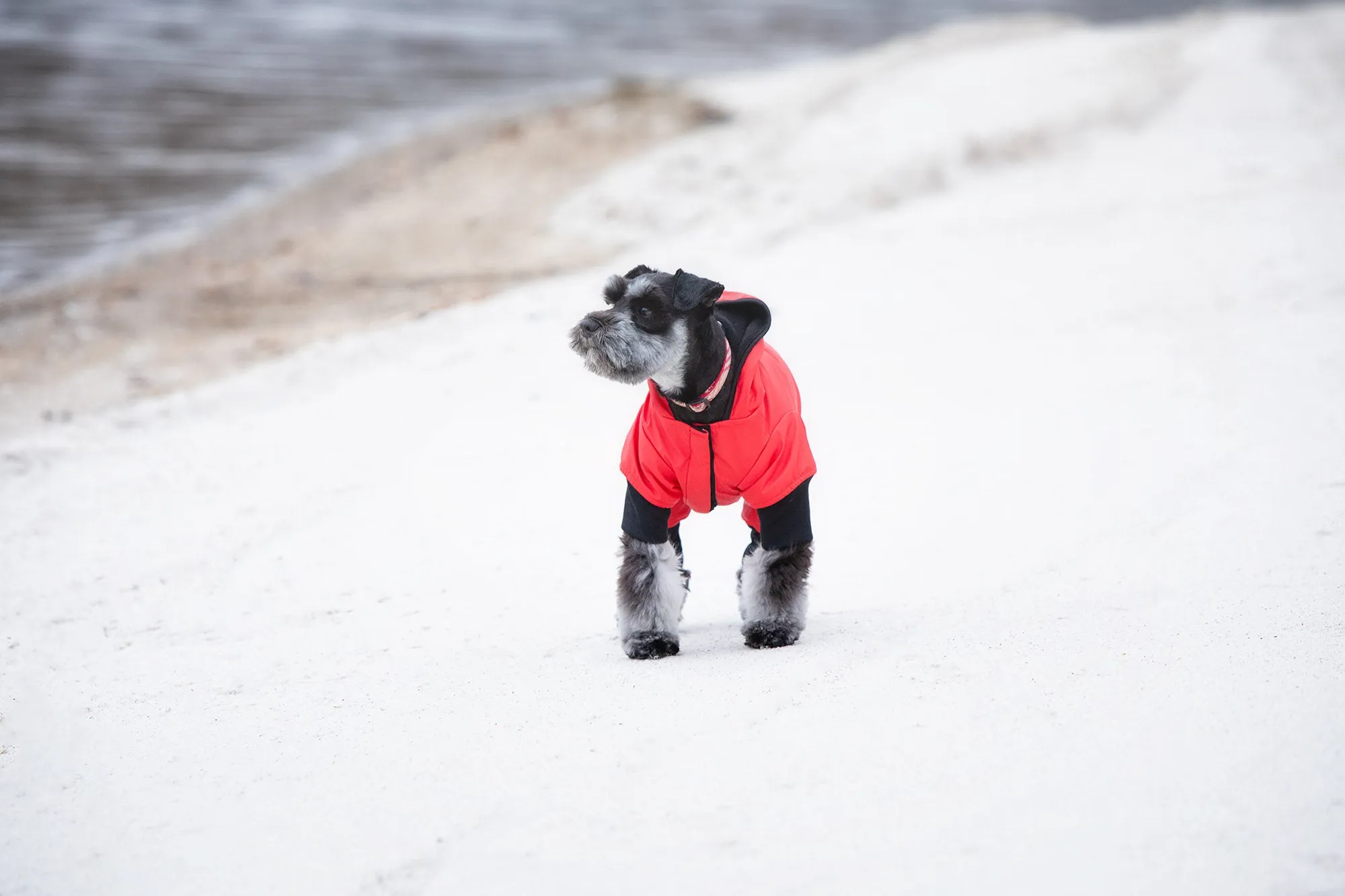Snow Suit - Red & Black